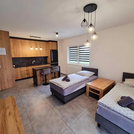 公寓 Prawnicza 卓利